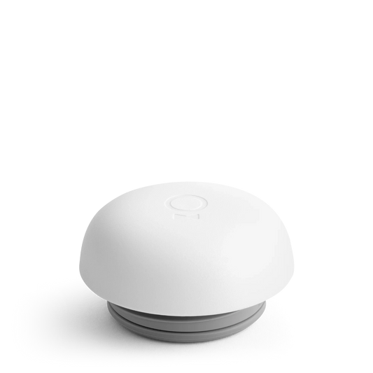 Carter Move Lid