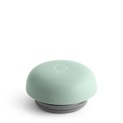 Mint Chip