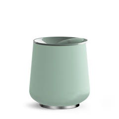 Mint Chip